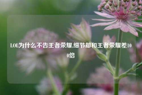 LOL为什么不告王者荣耀,细节却和王者荣耀差100倍