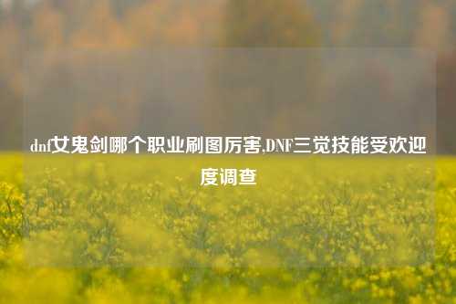 dnf女鬼剑哪个职业刷图厉害,DNF三觉技能受欢迎度调查