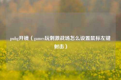 pubg开镜（games玩刺激战场怎么设置鼠标左键射击）