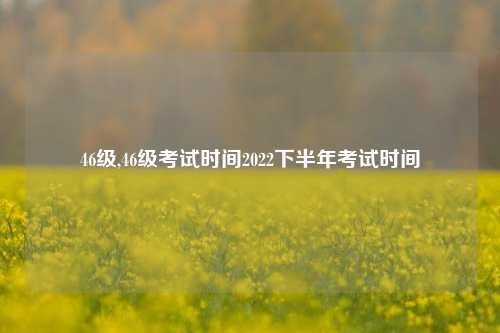 46级,46级考试时间2022下半年考试时间