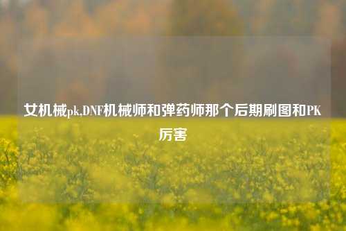 女机械pk,DNF机械师和弹药师那个后期刷图和PK厉害