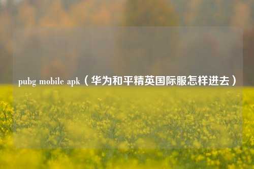 pubg mobile apk（华为和平精英国际服怎样进去）