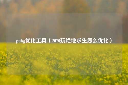 pubg优化工具（2070玩绝地求生怎么优化）