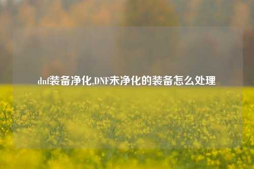 dnf装备净化,DNF未净化的装备怎么处理