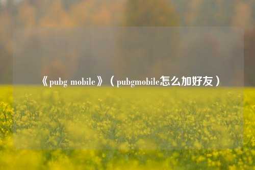 《pubg mobile》（pubgmobile怎么加好友）