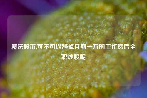 魔法股市,可不可以辞掉月薪一万的工作然后全职炒股呢