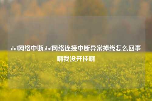 dnf网络中断,dnf网络连接中断异常掉线怎么回事啊我没开挂啊