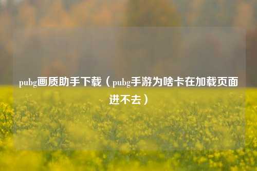 pubg画质助手下载（pubg手游为啥卡在加载页面进不去）