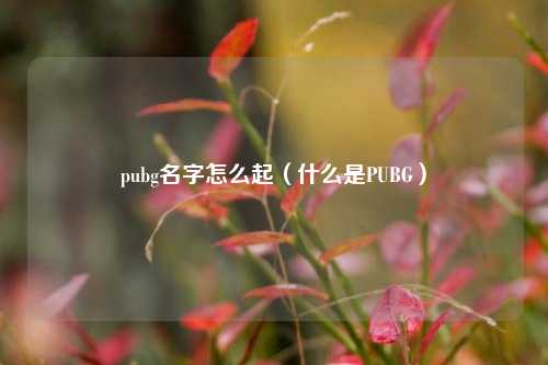 pubg名字怎么起（什么是PUBG）