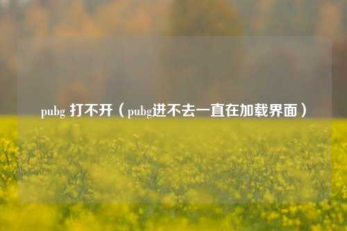 pubg 打不开（pubg进不去一直在加载界面）