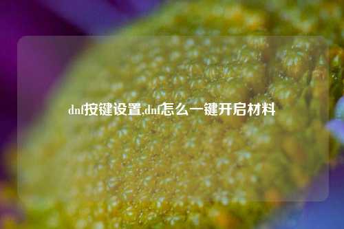 dnf按键设置,dnf怎么一键开启材料