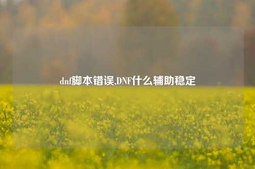 dnf脚本错误,DNF什么辅助稳定