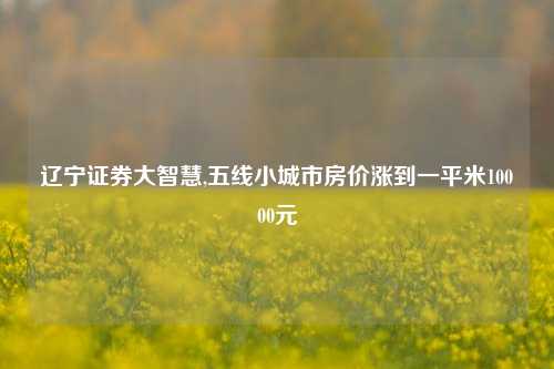 辽宁证券大智慧,五线小城市房价涨到一平米10000元