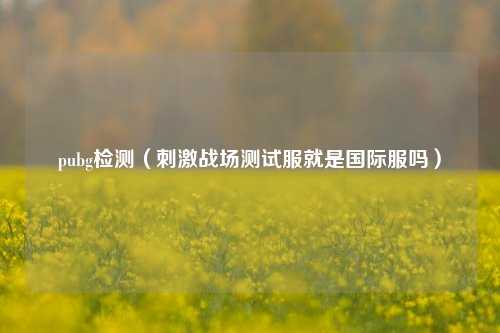 pubg检测（刺激战场测试服就是国际服吗）