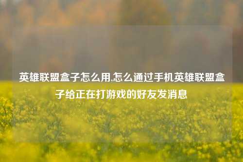 英雄联盟盒子怎么用,怎么通过手机英雄联盟盒子给正在打游戏的好友发消息