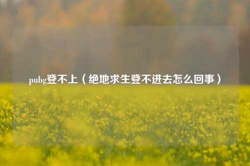 pubg登不上（绝地求生登不进去怎么回事）