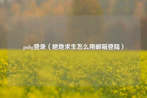 pubg登录（绝地求生怎么用邮箱登陆）