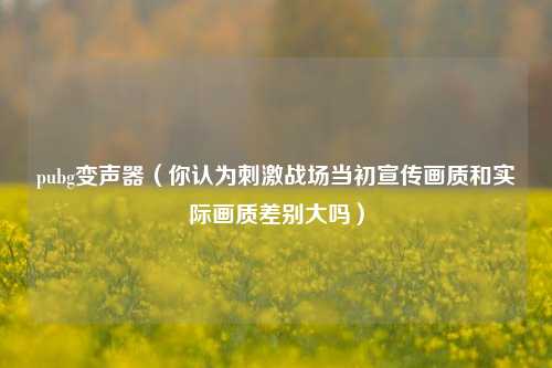 pubg变声器（你认为刺激战场当初宣传画质和实际画质差别大吗）