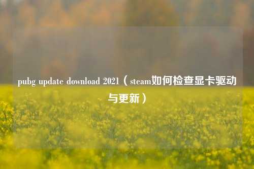 pubg update download 2021（steam如何检查显卡驱动与更新）