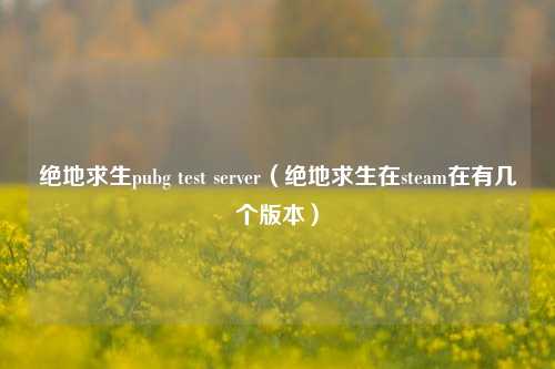 绝地求生pubg test server（绝地求生在steam在有几个版本）