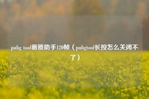 pubg tool画质助手120帧（pubgtool长按怎么关闭不了）