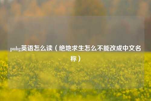 pubg英语怎么读（绝地求生怎么不能改成中文名称）