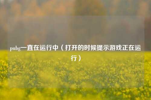 pubg一直在运行中（打开的时候提示游戏正在运行）