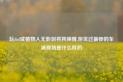 玩dnf成植物人无影剑将其唤醒,你见过最惨的车祸现场是什么样的