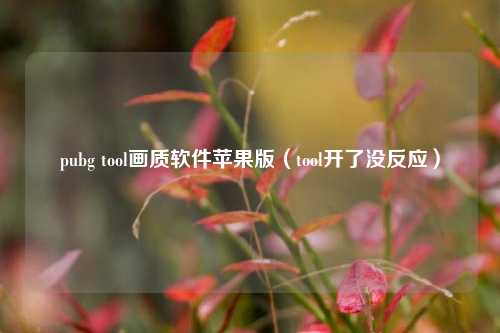 pubg tool画质软件苹果版（tool开了没反应）