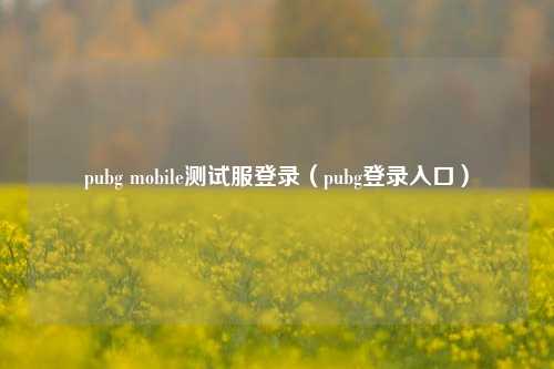 pubg mobile测试服登录（pubg登录入口）