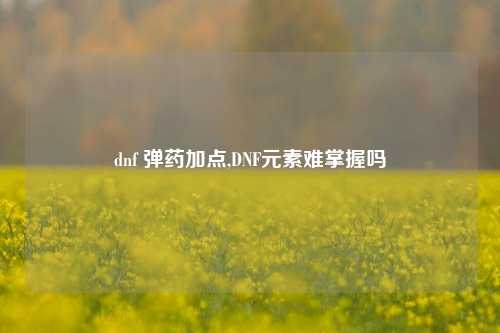 dnf 弹药加点,DNF元素难掌握吗