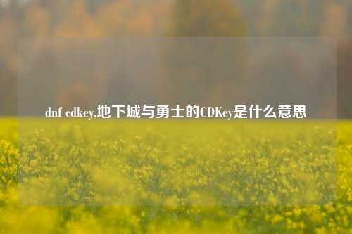 dnf cdkey,地下城与勇士的CDKey是什么意思