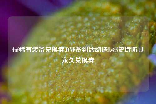 dnf稀有装备兑换券,DNF签到活动送Lv85史诗防具永久兑换券