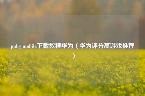 pubg mobile下载教程华为（华为评分高游戏推荐）