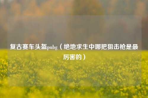 复古赛车头盔pubg（绝地求生中哪把狙击枪是最厉害的）