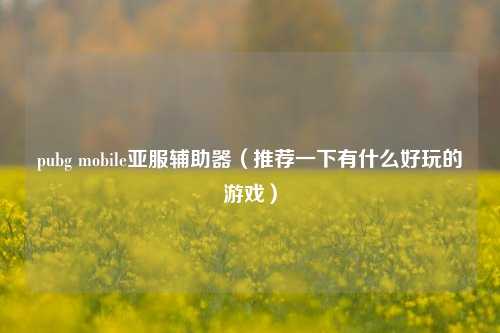 pubg mobile亚服辅助器（推荐一下有什么好玩的游戏）