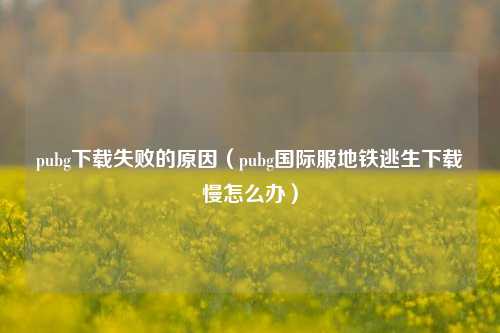 pubg下载失败的原因（pubg国际服地铁逃生下载慢怎么办）