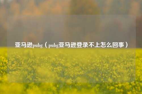 亚马逊pubg（pubg亚马逊登录不上怎么回事）