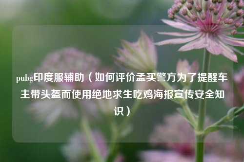 pubg印度服辅助（如何评价孟买警方为了提醒车主带头盔而使用绝地求生吃鸡海报宣传安全知识）