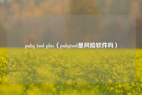 pubg tool plus（pubgtool是风险软件吗）