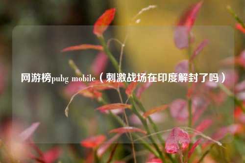 网游榜pubg mobile（刺激战场在印度解封了吗）