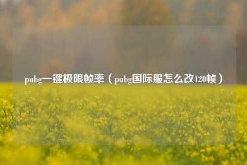 pubg一键极限帧率（pubg国际服怎么改120帧）