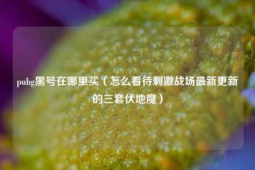 pubg黑号在哪里买（怎么看待刺激战场最新更新的三套伏地魔）