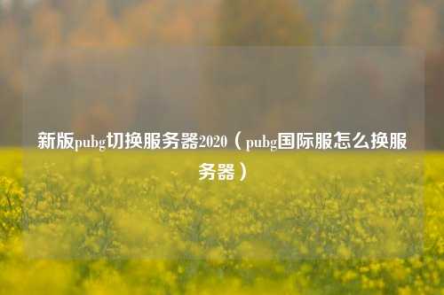 新版pubg切换服务器2020（pubg国际服怎么换服务器）