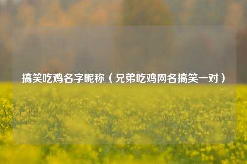 搞笑吃鸡名字昵称（兄弟吃鸡网名搞笑一对）