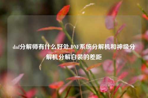 dnf分解师有什么好处,DNF系统分解机和神级分解机分解白装的差距