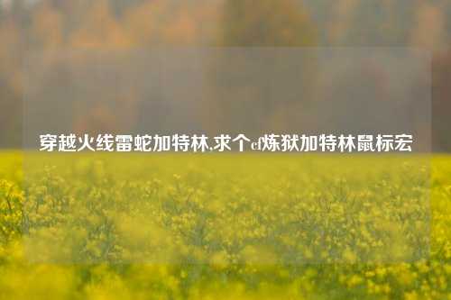 穿越火线雷蛇加特林,求个cf炼狱加特林鼠标宏