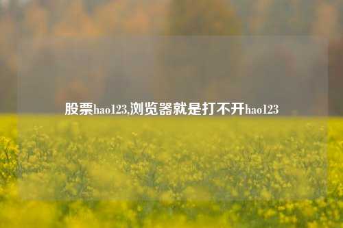 股票hao123,浏览器就是打不开hao123