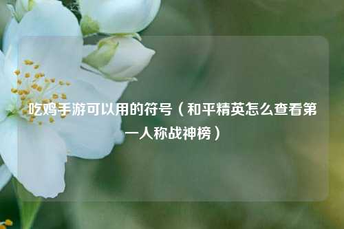 吃鸡手游可以用的符号（和平精英怎么查看第一人称战神榜）