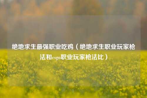 绝地求生最强职业吃鸡（绝地求生职业玩家枪法和csgo职业玩家枪法比）